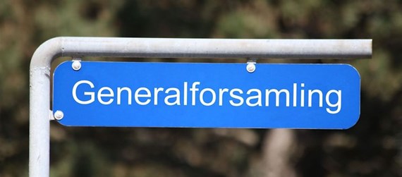 Generalforsamling